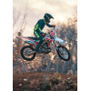 Кросовий мотоцикл Barton NXT 300